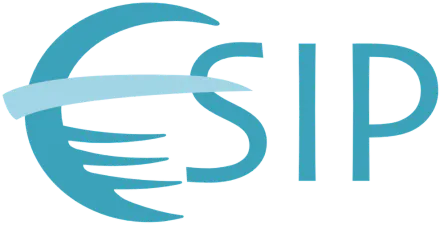 Image of the Esip logo