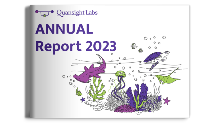 Image of a Quansight Labs Annual Report 2023 mockup.