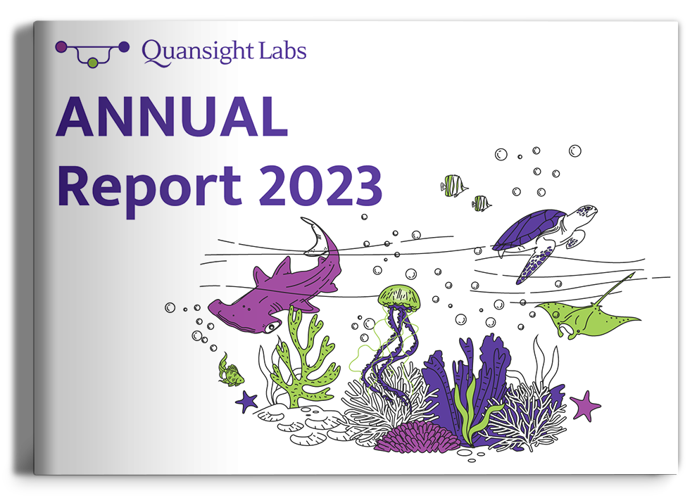 Image of a Quansight Labs Annual Report 2023 mockup.