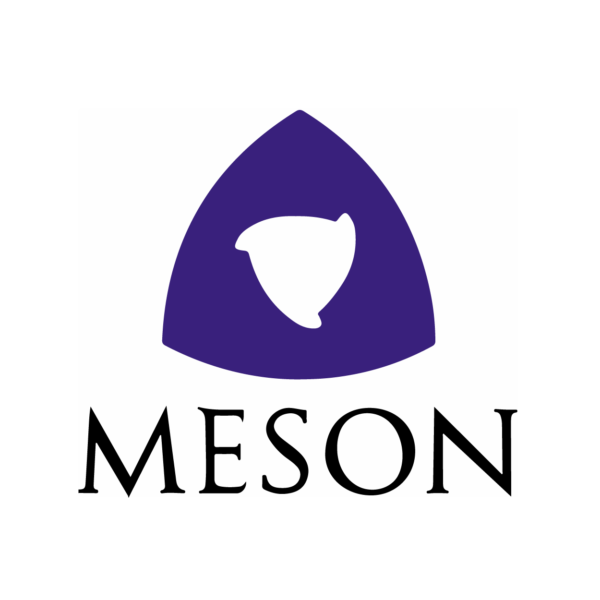 meson python logo